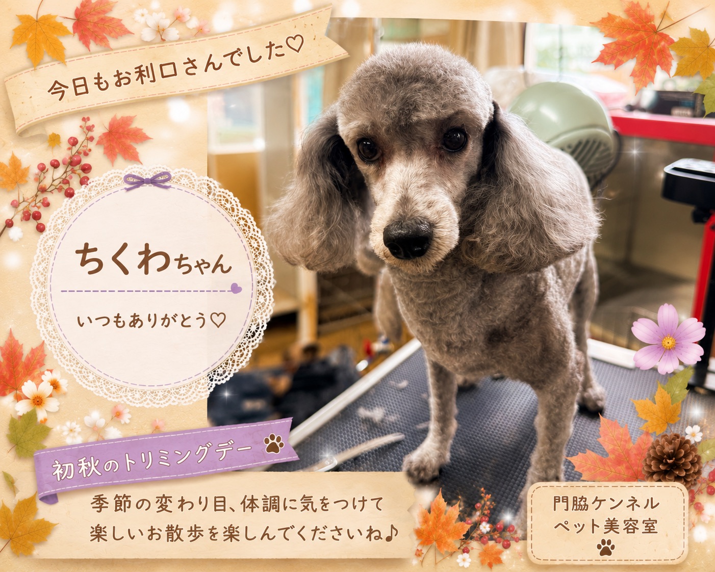 初秋デザインのちくわちゃん