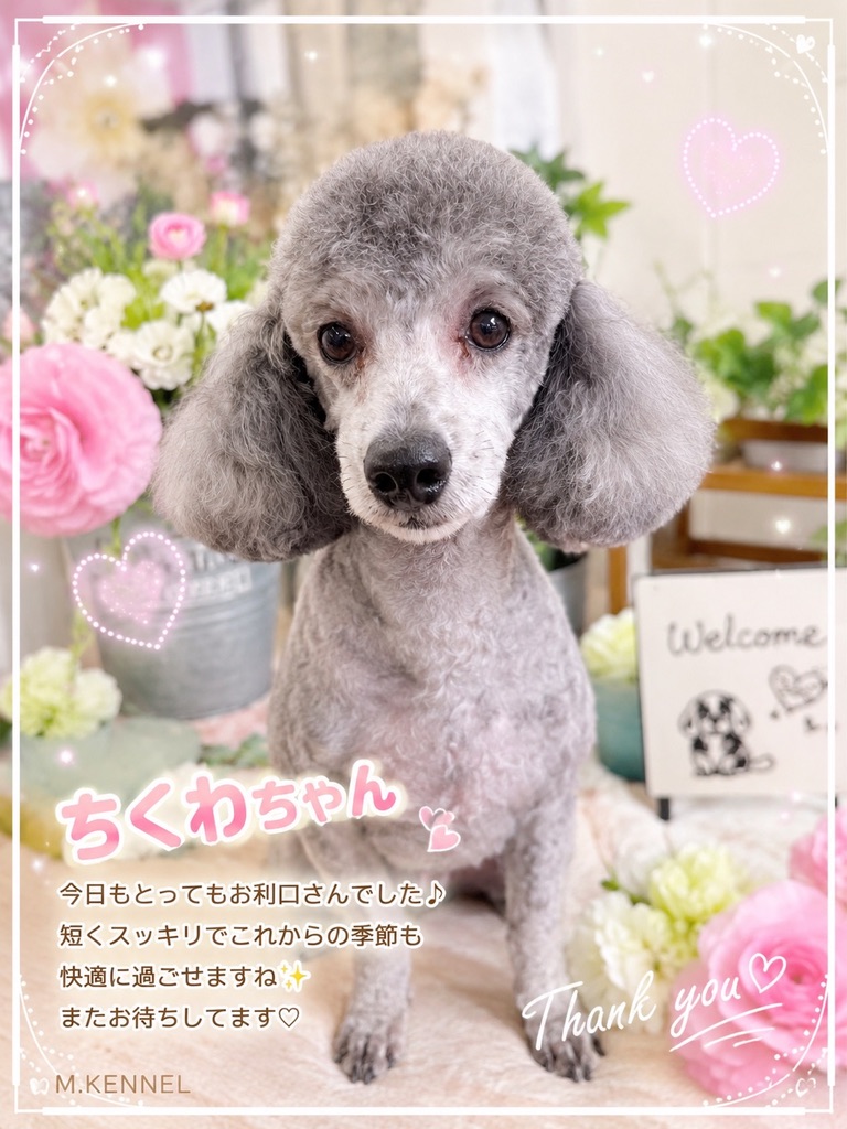 ちくわちゃん