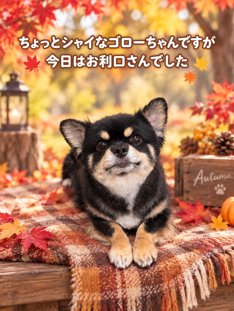 ちょっとシャイなゴローちゃん。今日はお利口さんでした。