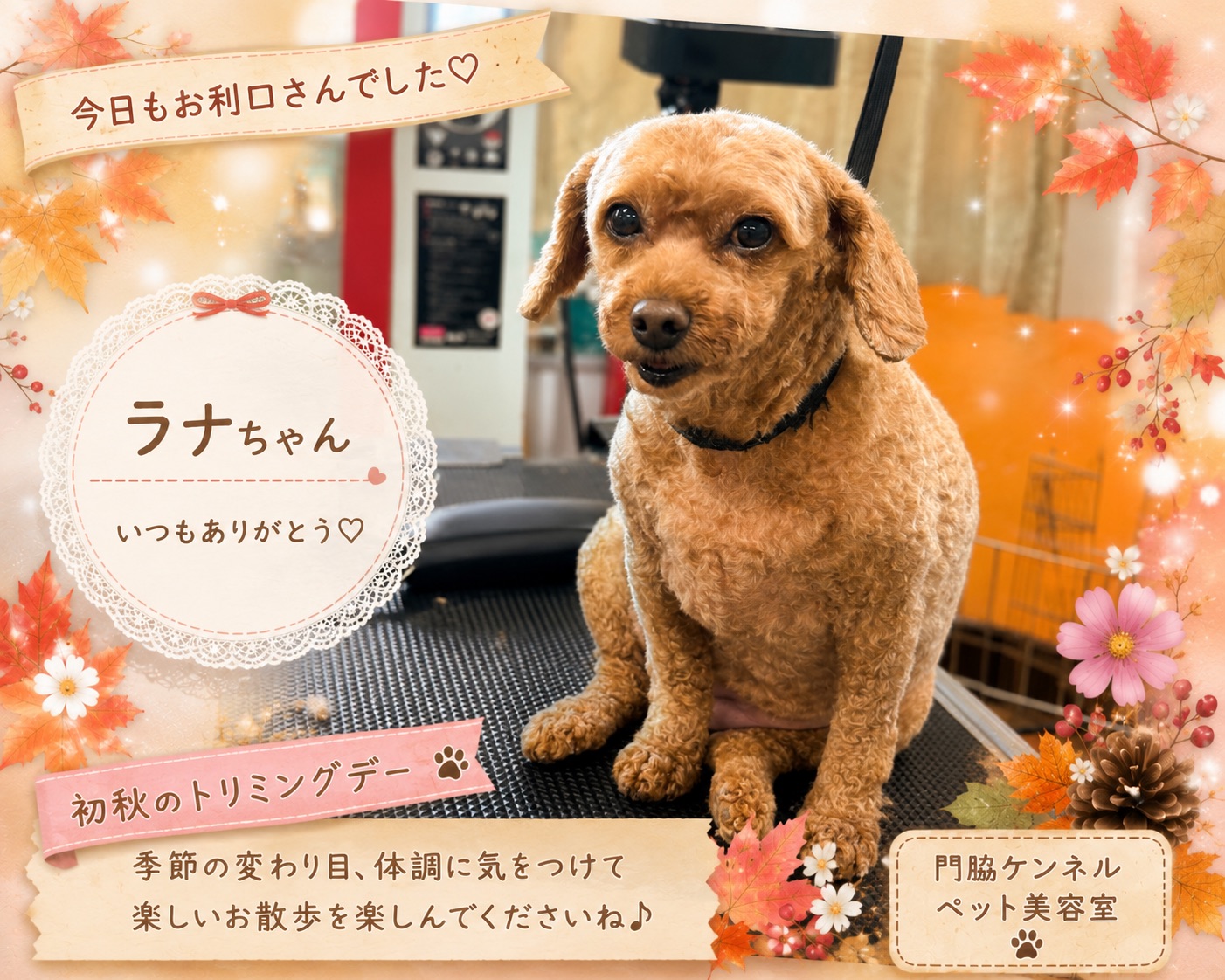 初秋デザインのラナちゃん