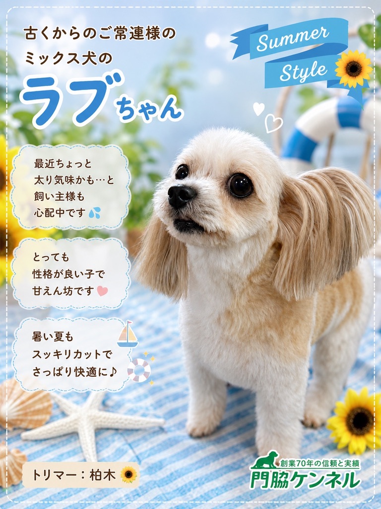 夏らしくすっきりカットしたラブちゃん