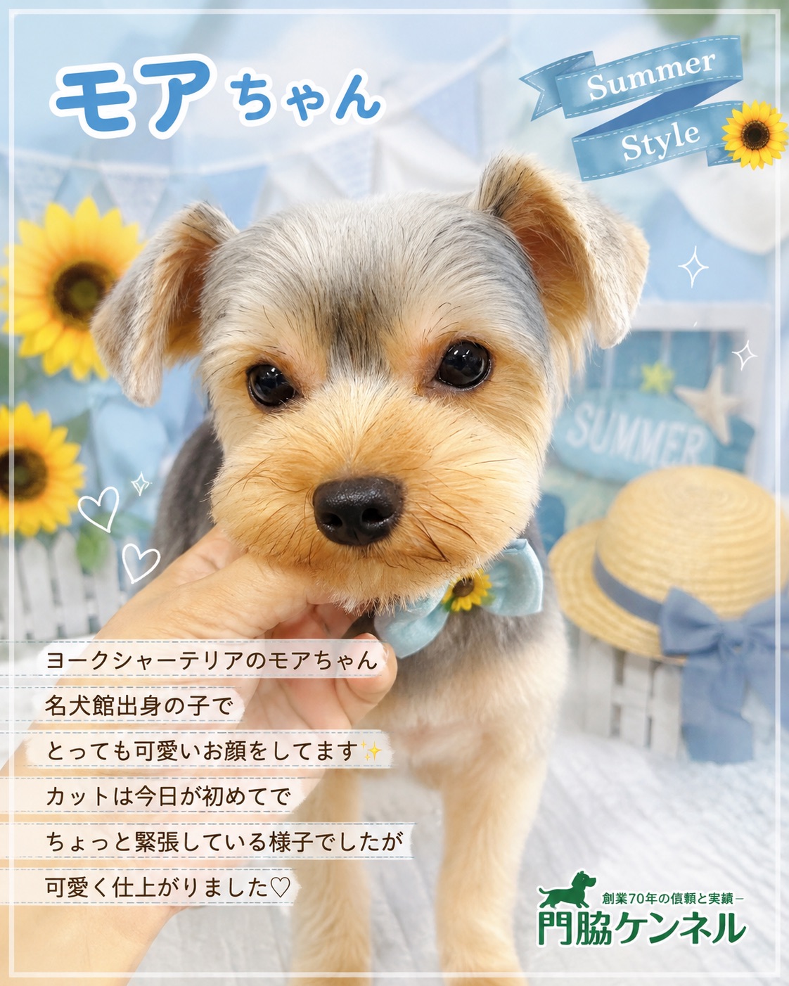 モアちゃん