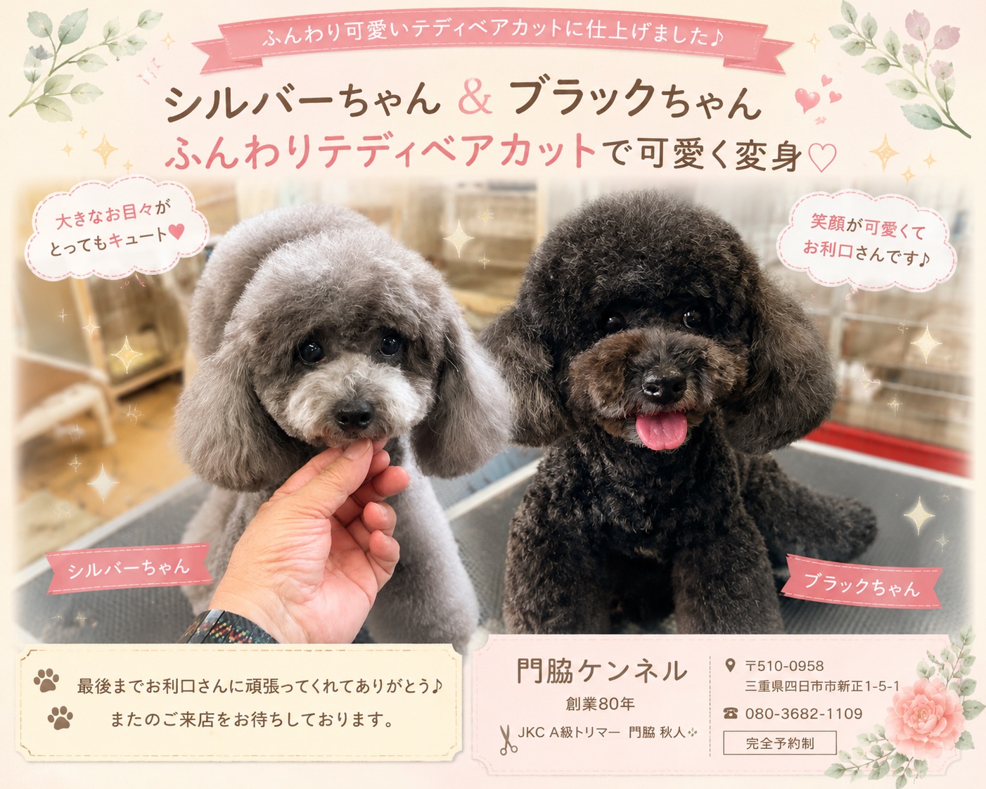 シルバーちゃん＆ブラックちゃん