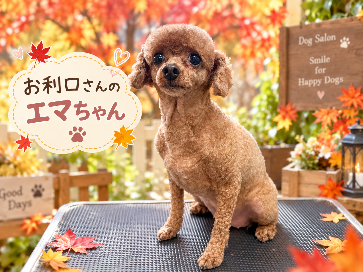 お利口さんのエマちゃん