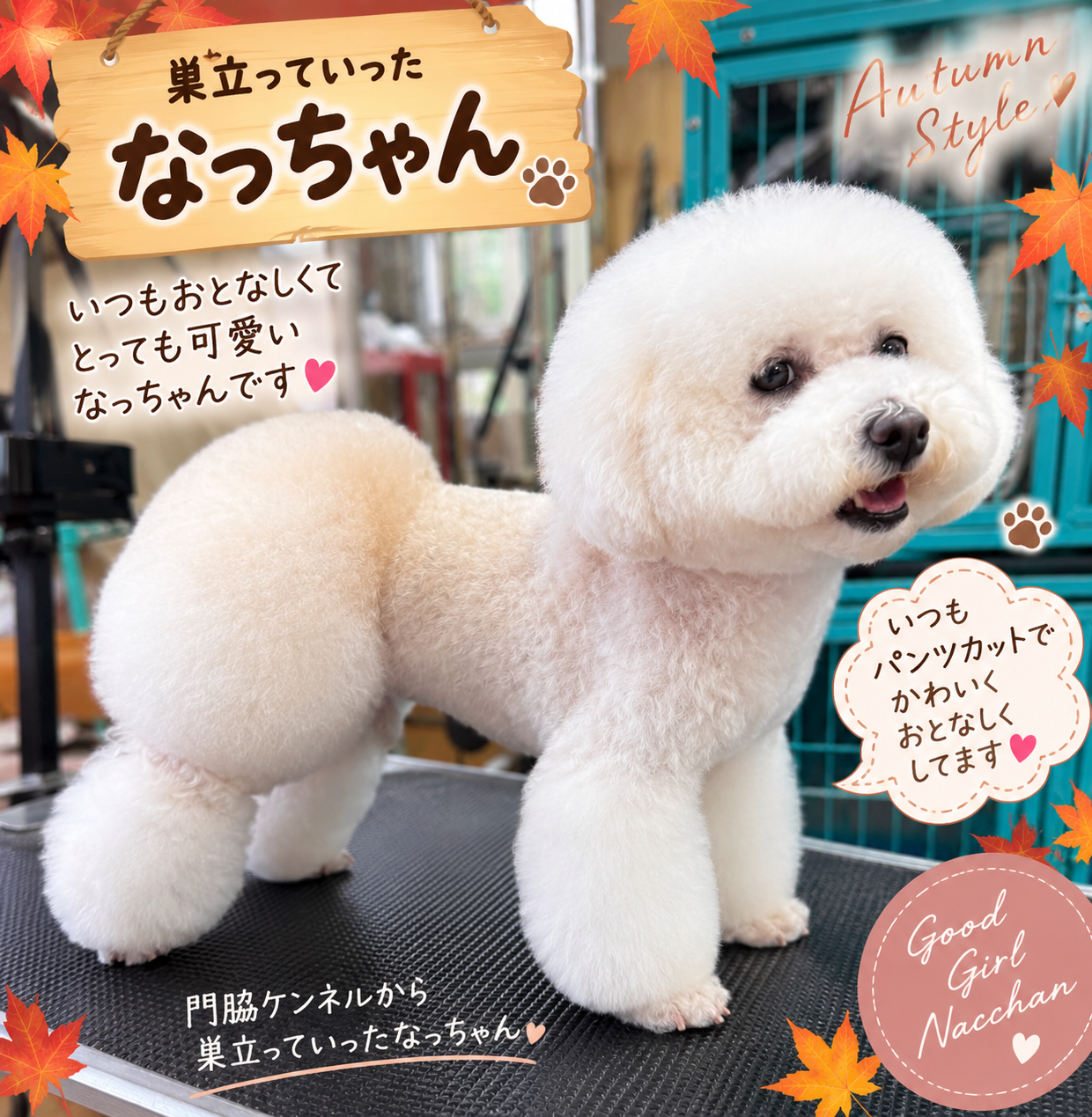 秋の装いのなっちゃん