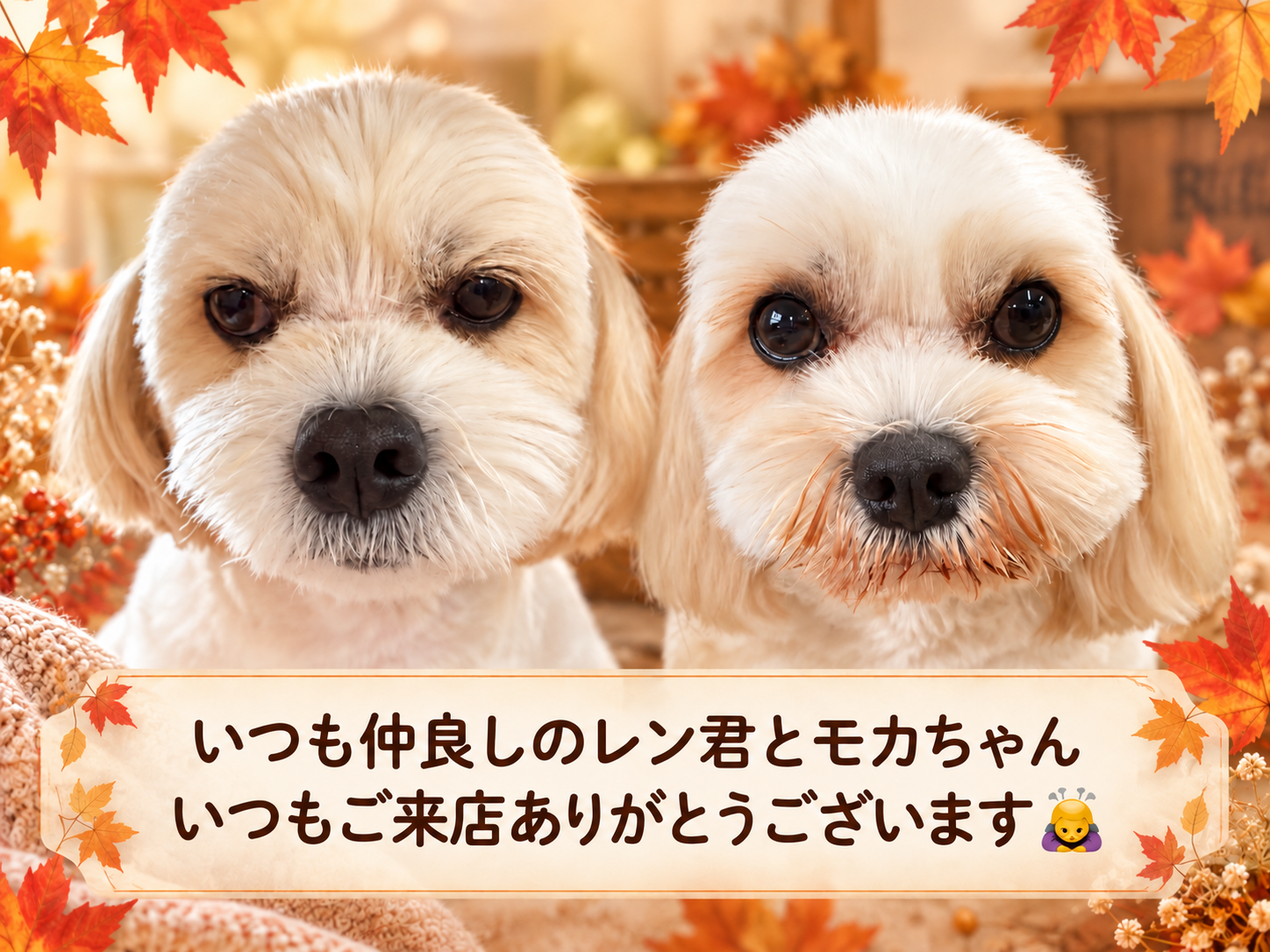 いつも仲良しのレン君とモカちゃん