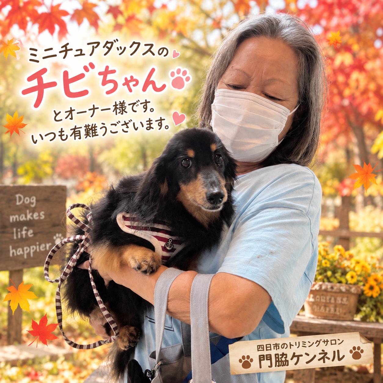 ミニチュアダックスのチビちゃんとオーナー様