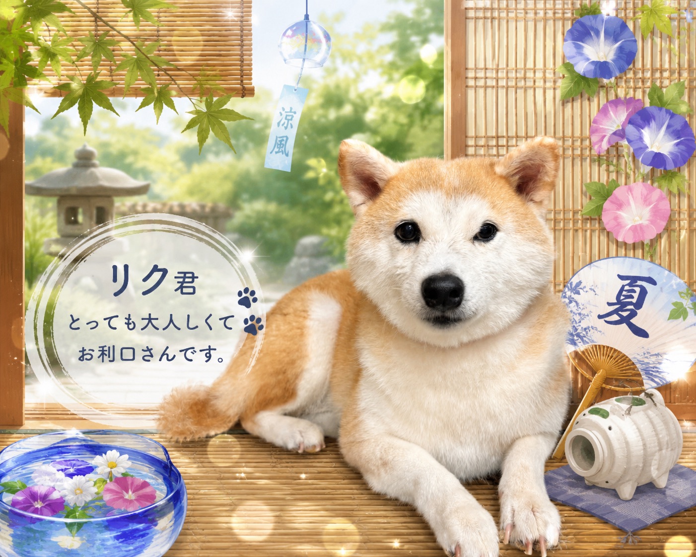 夏の飾りと柴犬のリク君